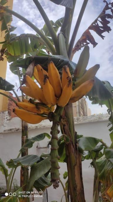 Precioso Apartamento Con A/A En Ruzafa Con Terracita Privada Y Acceso A Un Jardin, Para 2-3 Personas Valencia Buitenkant foto